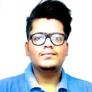 Punit Kumar Pal-Freelancer in Mohali,India