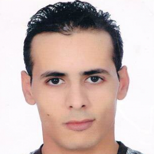 Ammar Hajjaji-Freelancer in ,Tunisia