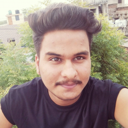 Yash Laxkar-Freelancer in Bikaner,India