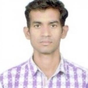 Ajay Uppalwar-Freelancer in ,India