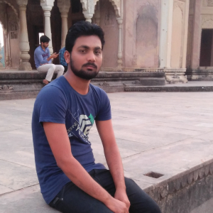 Mohit Patel-Freelancer in Dubariya,India
