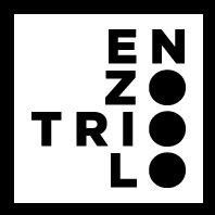 Enzo Triolo-Freelancer in Catania Area, Italy,Italy