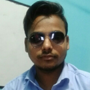 Pradeep Kumar-Freelancer in Lucknow Division,India