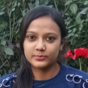 Kanchan Sankhla-Freelancer in BATHINDA,India