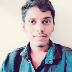 Shankar -Freelancer in Yemmiganur,India