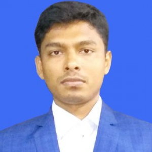 Rakibul Islam-Freelancer in Dhaka,Bangladesh