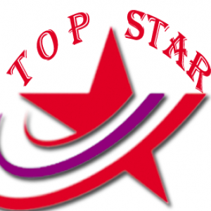 Top Star Writing Services-Freelancer in ,Kenya