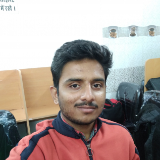 Raghuraj Singh Charan-Freelancer in Agolai,India