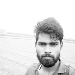 Rahul mehmandpur-Freelancer in Karnal,India