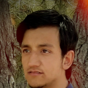 Naushad Ali-Freelancer in Bahawalpur,Pakistan