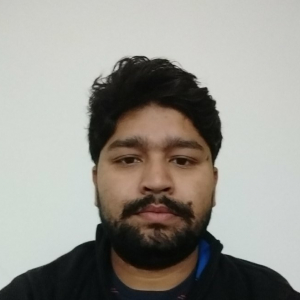 Mehtav Singh Chouhan-Freelancer in Indore,India