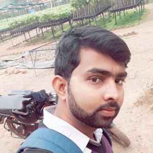 Bidyut Patra-Freelancer in Bankura ,India