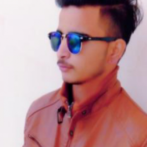 Raj-Freelancer in Una,India