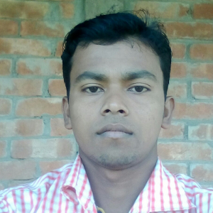 Md Tajmul Hoque-Freelancer in Dhaka,Bangladesh
