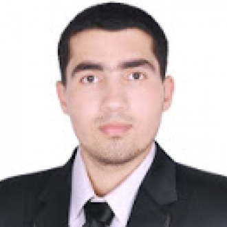 Ahmed Halawa-Freelancer in Abu Dhabi,UAE