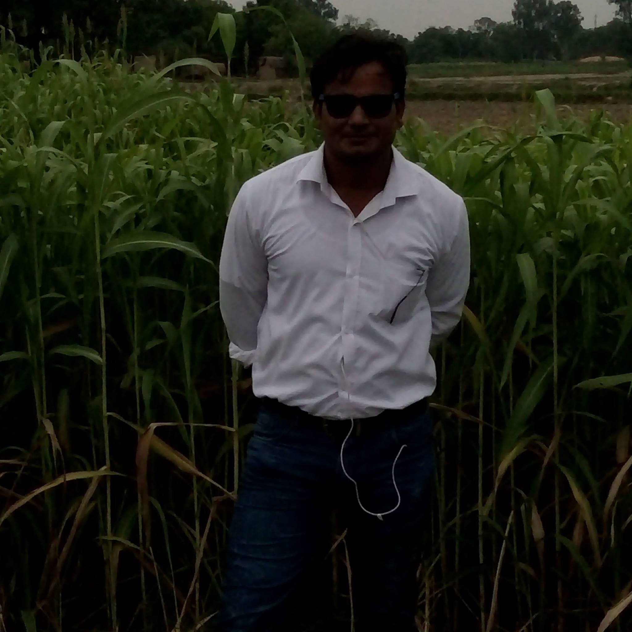 Satish Chand Jaiswar-Freelancer in Phaphamau,India