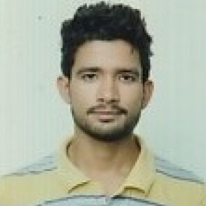 Neeraj Dhiman-Freelancer in Karnal,India