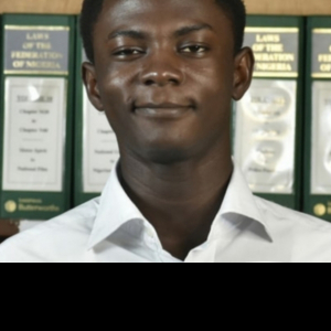 Emmanuel Adedoyin-Freelancer in Lagos,Nigeria
