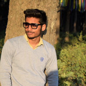 Anish Bisht-Freelancer in Haridwar,India
