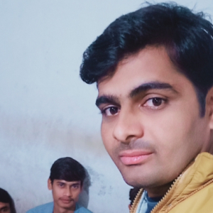 Bhim Singh Meena-Freelancer in Delhi,India