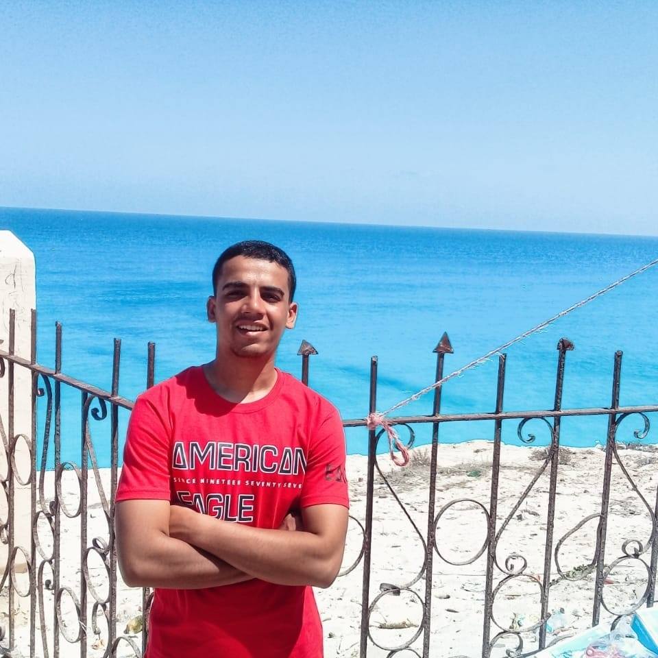 Omar Gaber-Freelancer in Al Hay Al Asher,Egypt