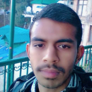 Ajay Kumar-Freelancer in Bilaspur,India