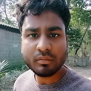RASHIDUL HOQUE-Freelancer in ,India