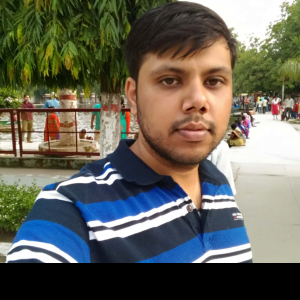 Ankur Teotia-Freelancer in ,India
