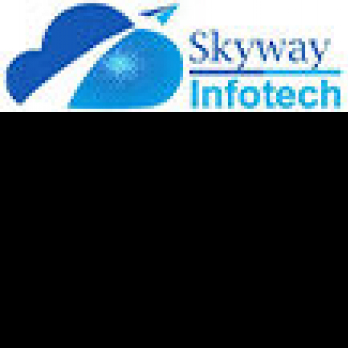 Skyway Infotech-Freelancer in Surat,India