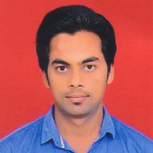 Ramnarayan Sahu-Freelancer in Bhilai,India
