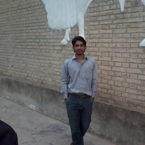Sajid Junejo-Freelancer in Karachi,Pakistan