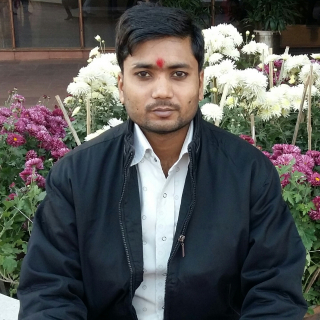 Shelendra Kumar-Freelancer in Noida,India