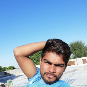 Dharmendra Kumar-Freelancer in Kuchaman City,India