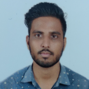 Sunil Nagar-Freelancer in Kota,India