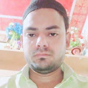Mohd Anish-Freelancer in Delhi,India