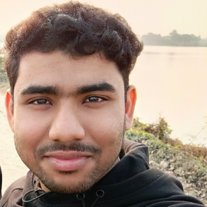Sapnil Das Choudhury-Freelancer in Kamalpur,India