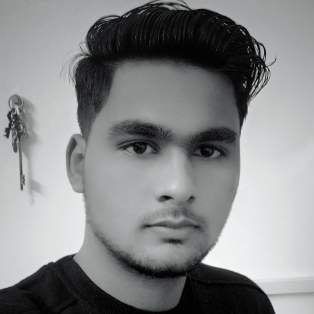 Abhay Rathore-Freelancer in RAMPUR,India