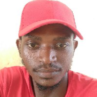 Peter Mzee-Freelancer in ,Kenya