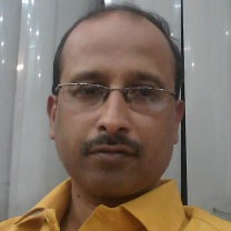 Avinash Kulkarni-Freelancer in ,India
