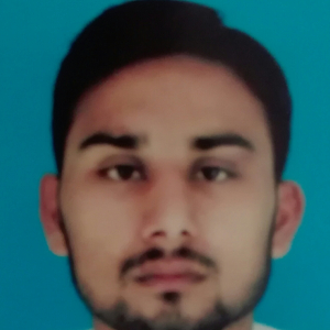 Shehzad Hussain Qureshi-Freelancer in Karachi,Pakistan