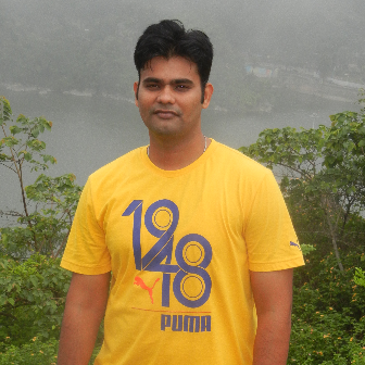 Mohit Mathur-Freelancer in ,India