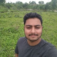 Nikhil Shende-Freelancer in ,India