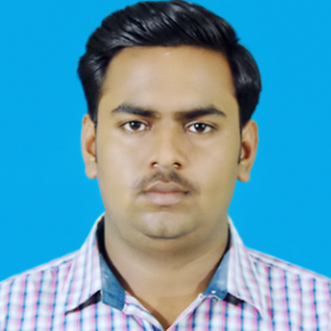 Rajesh Kumar Das-Freelancer in ,India