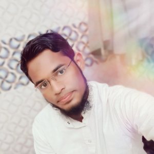 Abu Tahir Md Safiullah-Freelancer in Noorpur Dehat,India