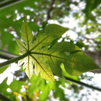 Midhuna Bm-Freelancer in Ernakulam,India