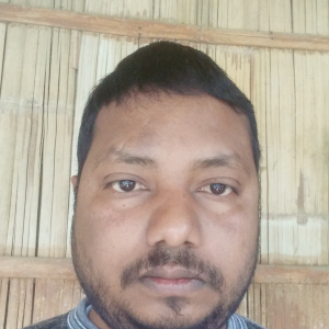 Deepak Dey-Freelancer in Imphal,India