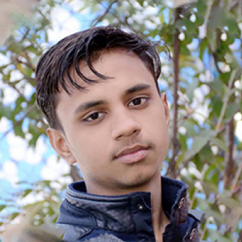Shadab Khan-Freelancer in Meerut,India