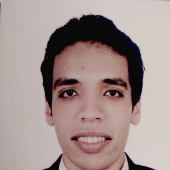 Mohammed Ibrahim-Freelancer in Cairo,Egypt