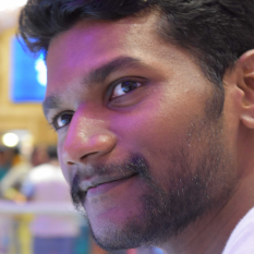 Dinesh Raja-Freelancer in Chennai,India