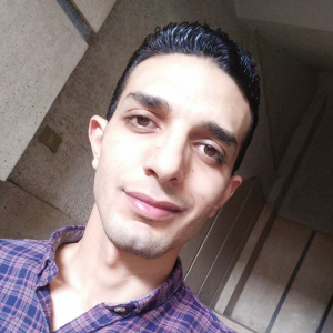 Alaa Hassan-Freelancer in Damanhour,Egypt